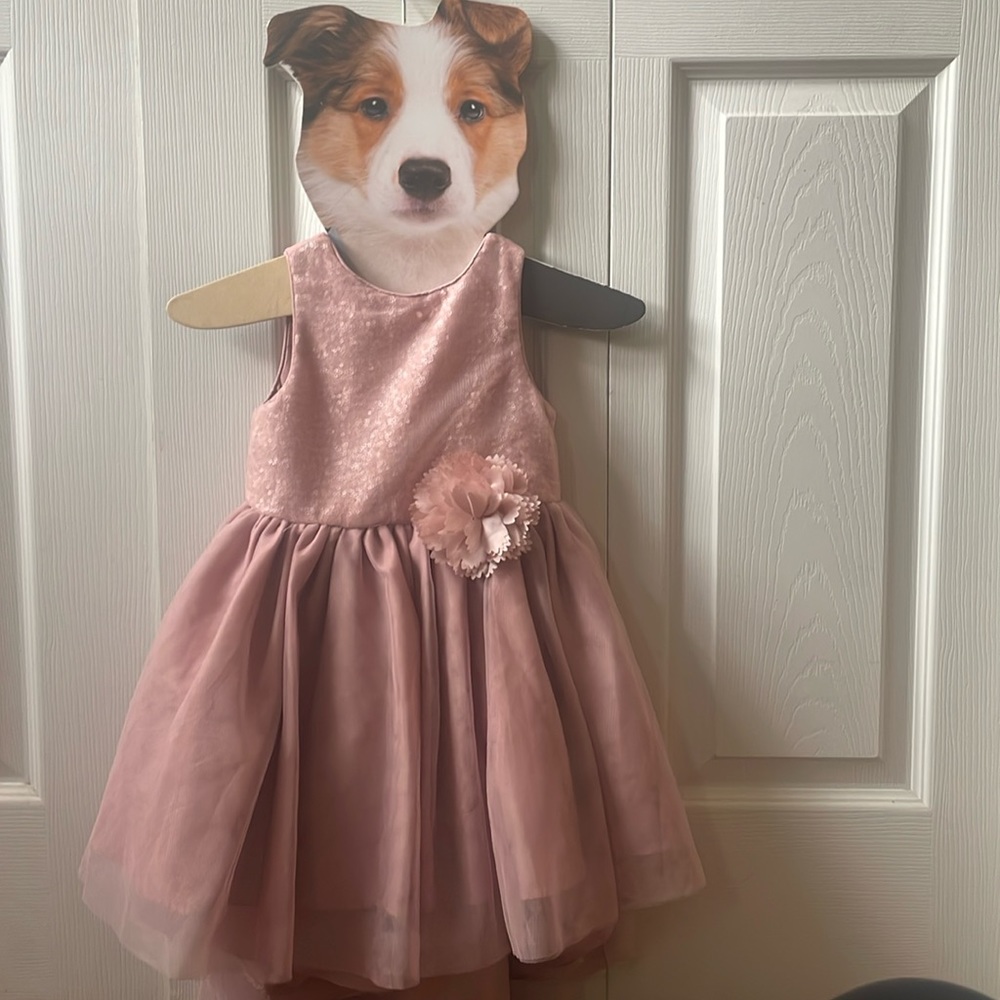 Pastourelle by Pippa and Julie flower girl dress. Gorgeous pale rose color.